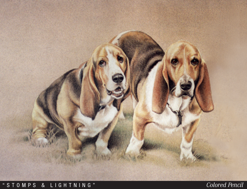 Bassett Hounds