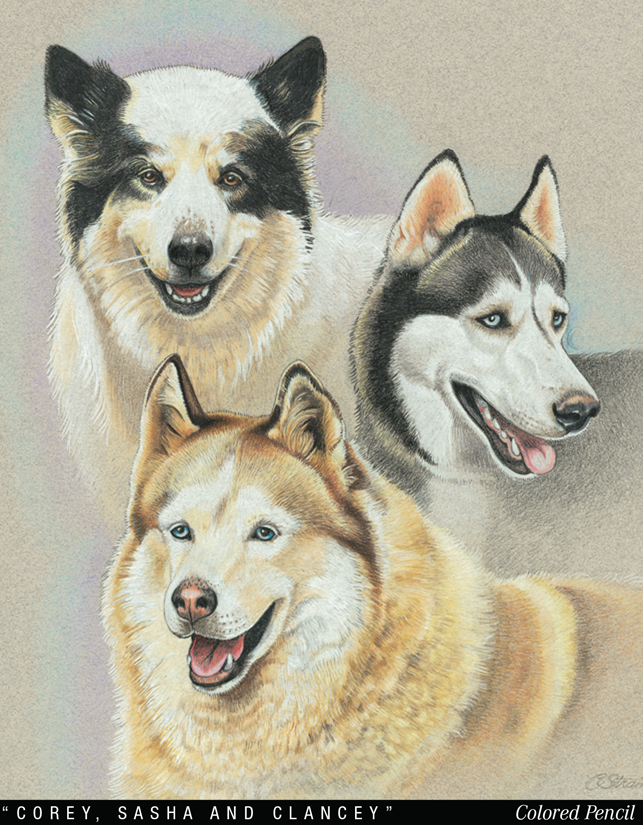 Northern Dogs